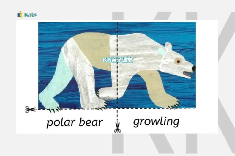polar bear怎么读