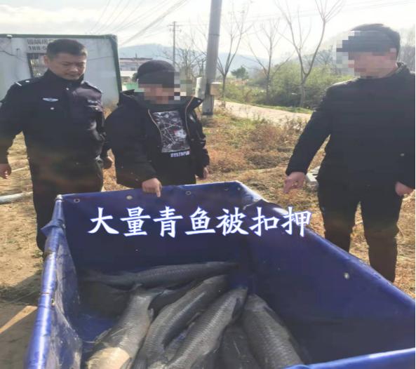 标鱼场合法吗