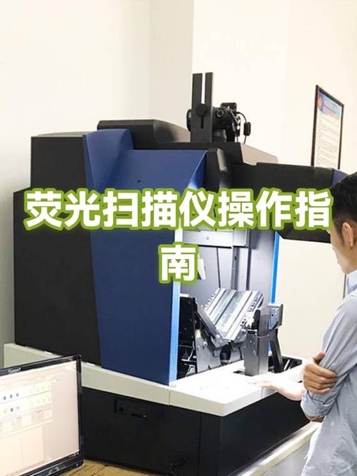 如何使用扫描仪