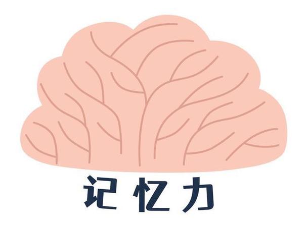 记忆的第一个基本过程是