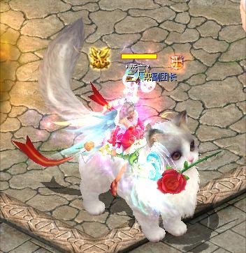魔域灵猫绯绯哪个好