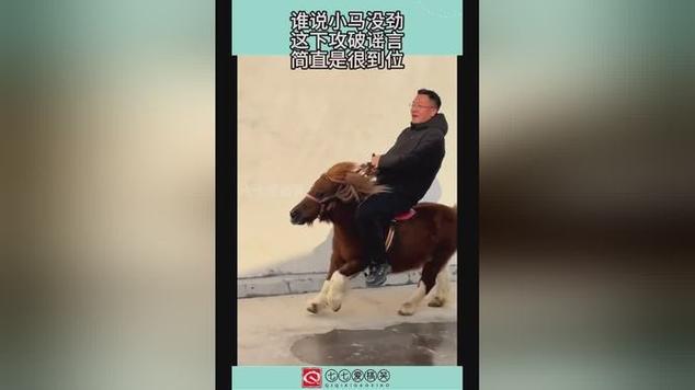 搞笑视频老板和小马