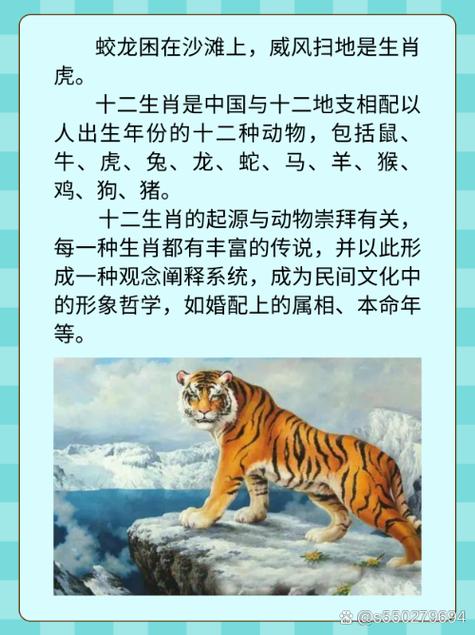 能文能武的生肖有哪些