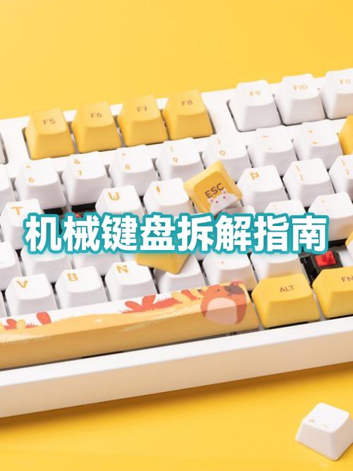 拆解键盘要注意什么