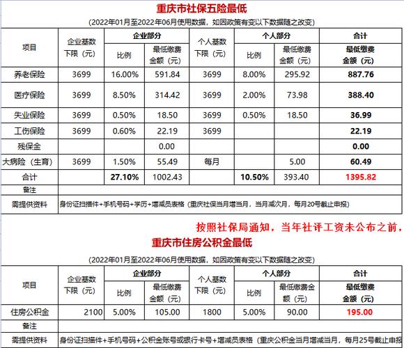 重庆税务社保缴费