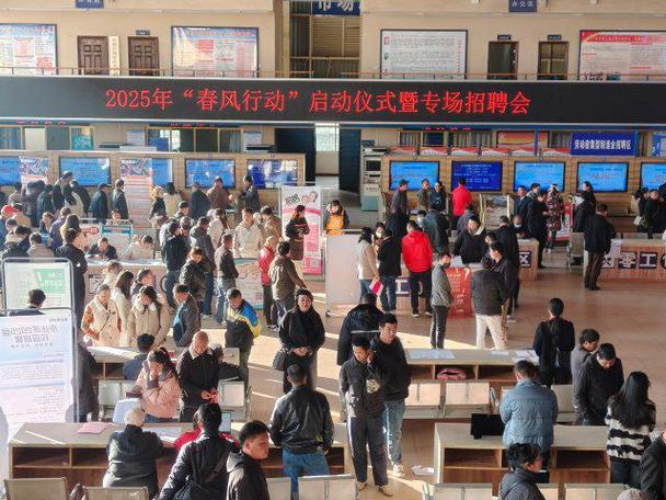 人才市场招聘市场图标