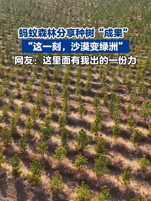 蚂蚁森林不能种树吗图标