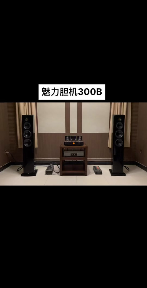15w胆机能推多大音箱