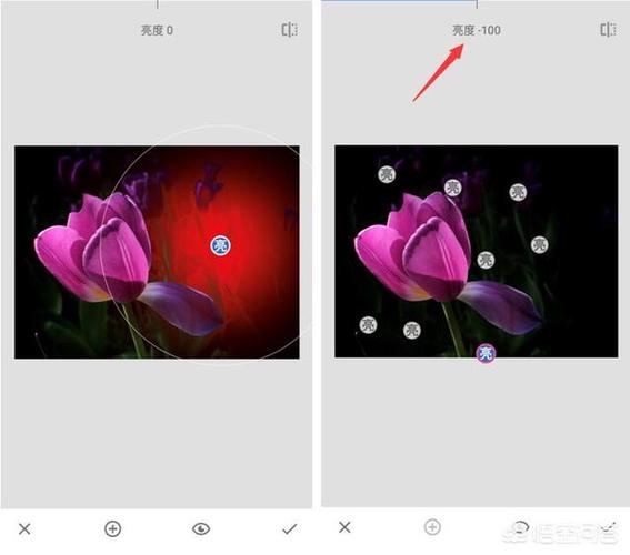 手机拍花卉背景怎么变黑