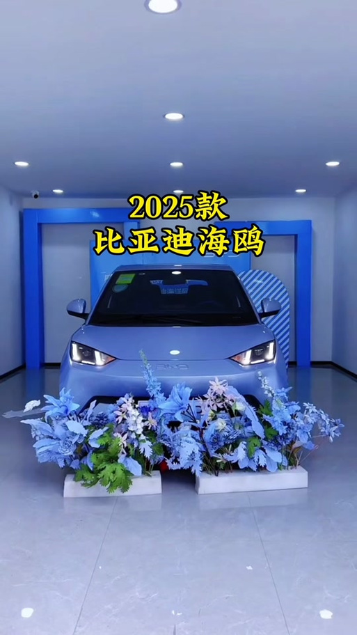 海鸥4.98万降价原因缩略图
