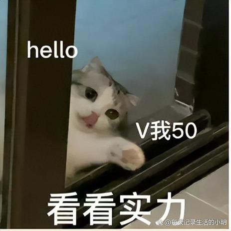 v你50表情包