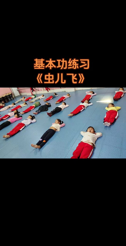 虫儿飞舞蹈视频