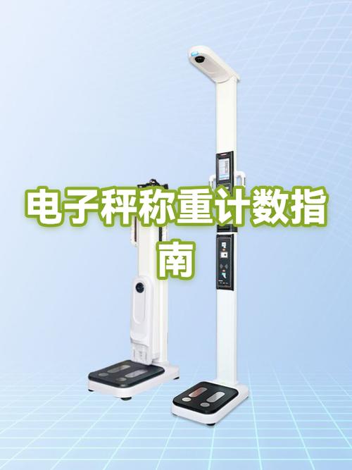 电子秤如何计数称重