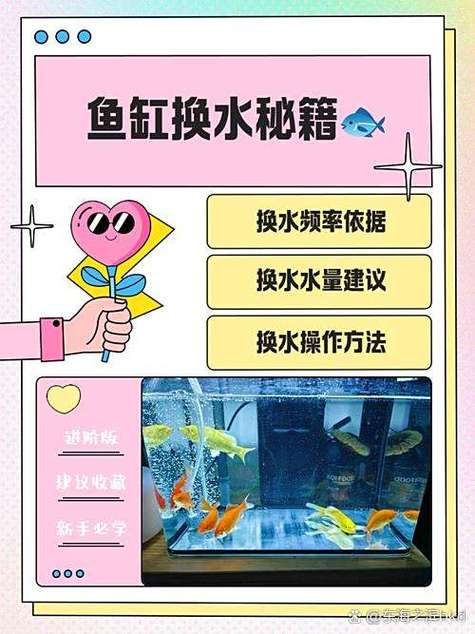 改善鱼缸水质的方法