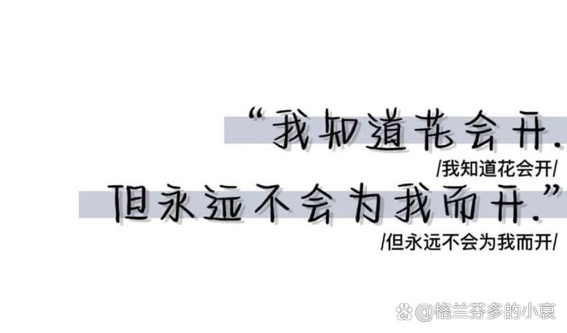 不回关的人你会取关吗