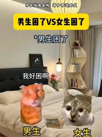 男生说很困女生