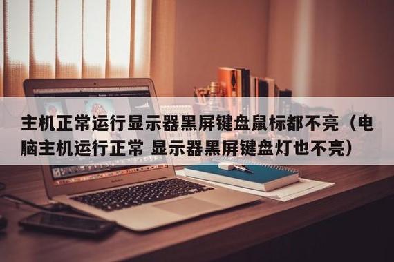 电脑开机后鼠标和键盘灯都不亮图标