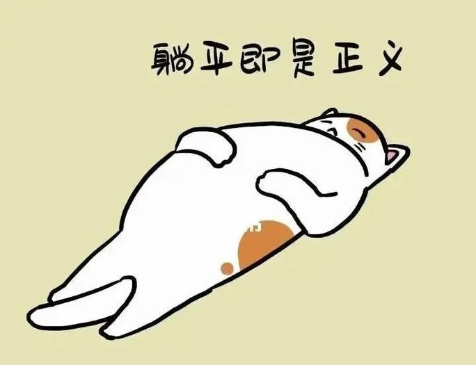 躺平表情包暗示什么截图