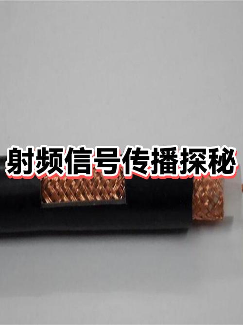 手机没信号无服务是怎么回事