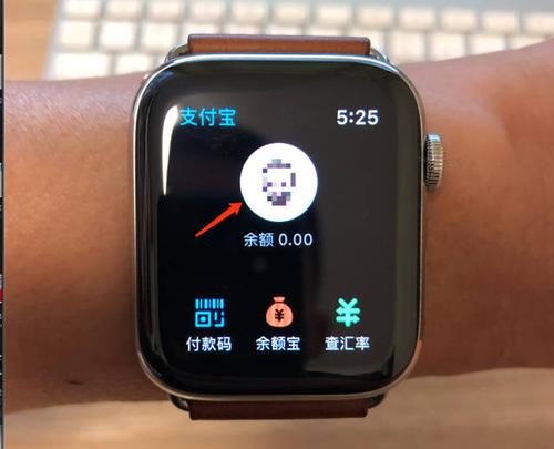 苹果手表支付功能怎么用