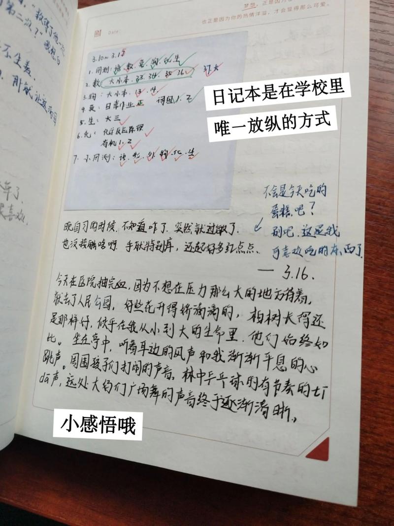 随手记10.7.7