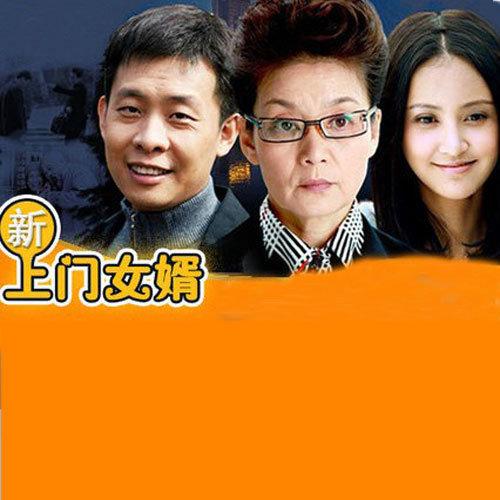 新上门女婿1-45集免费看