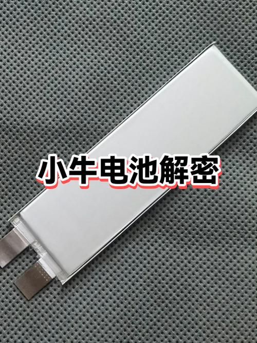 小牛电池一般寿命几年