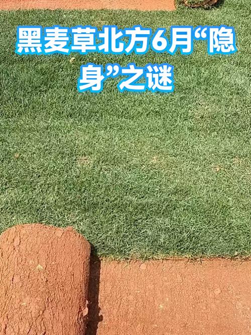 短信为什么不显示在屏幕图标