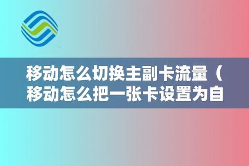 移动主卡可以关掉副卡的流量吗图标