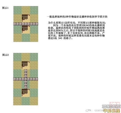 龙之崛起高级技巧