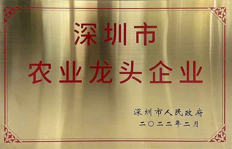 深圳十大龙头企业