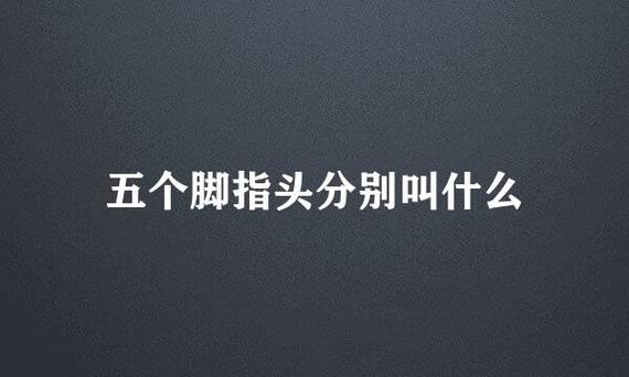手指5个指头叫什么图标