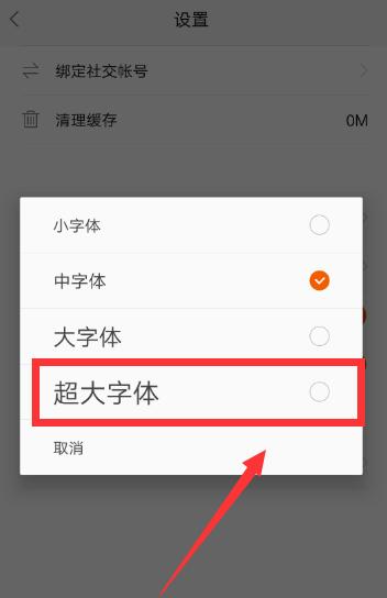 java怎么把字体调大