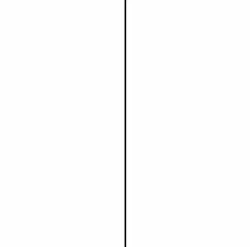 word如何加竖线