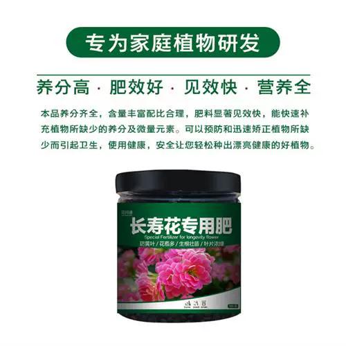 长寿花最好的肥料