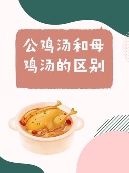 鸡公炖汤好喝吗图标