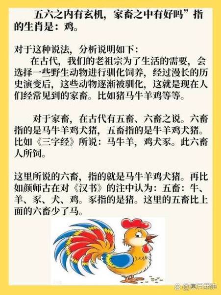 秀才是代表什么生肖