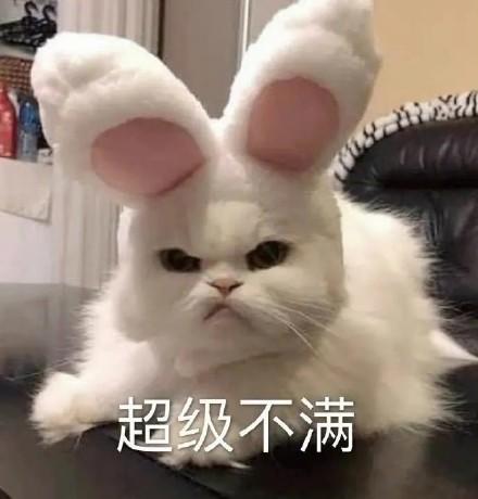 不满意表情包图片