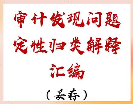 审计30个典型案例分享