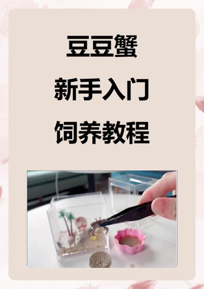 女人养螃蟹十大坏处