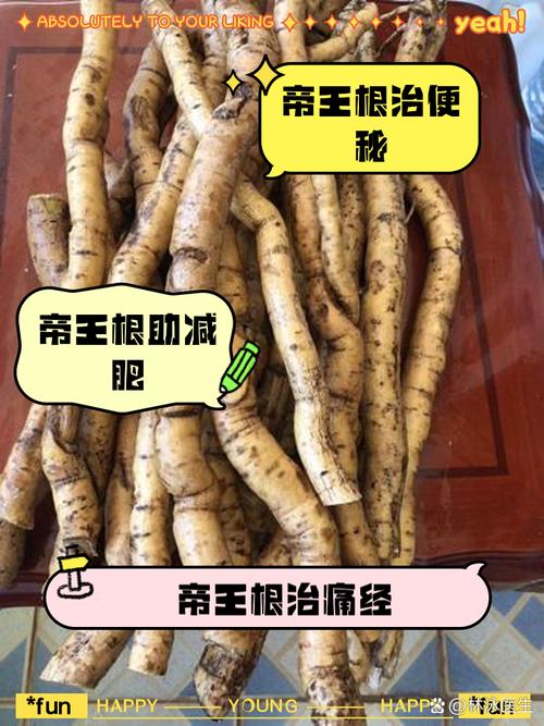 帝皇金鞭育根方