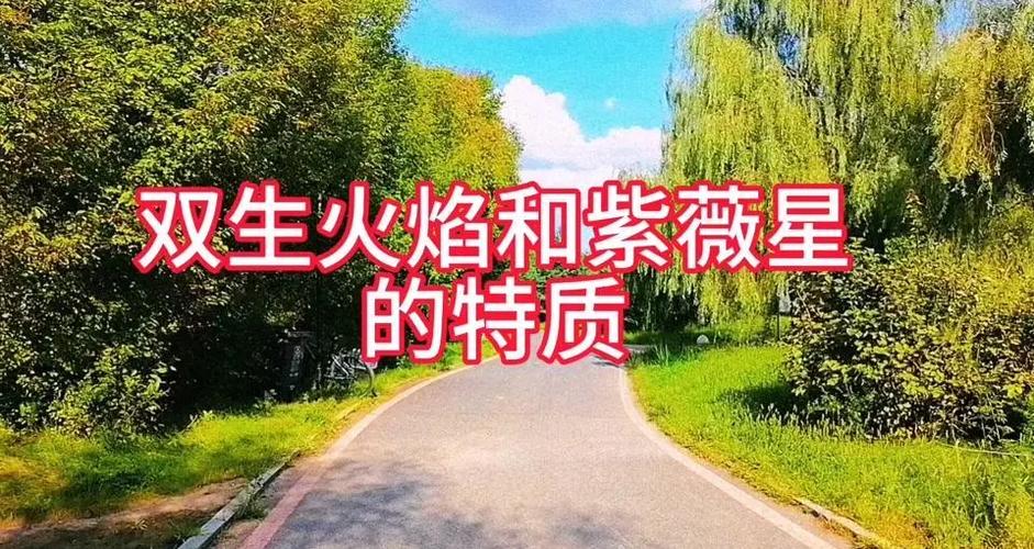紫微星最后一劫双生火焰
