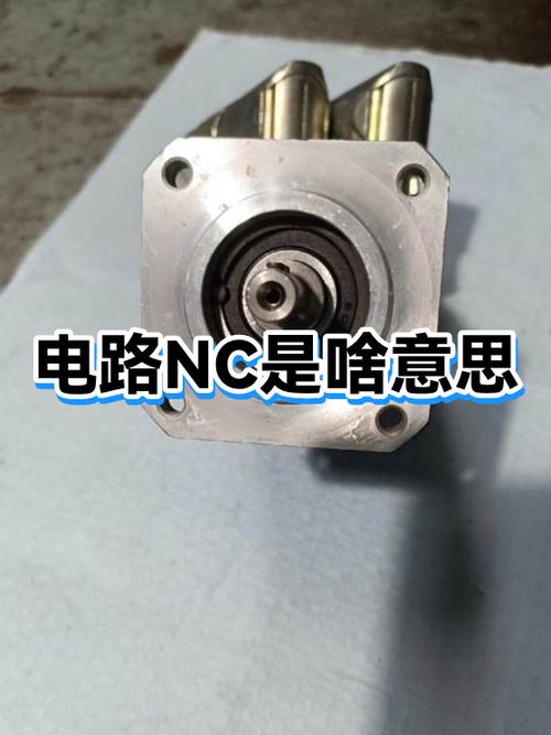 nc第一个意思缩略图