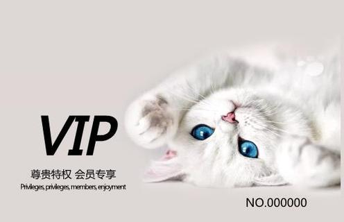 猫猫vip账号