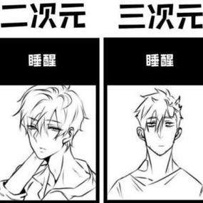二次元和三次元什么意思缩略图