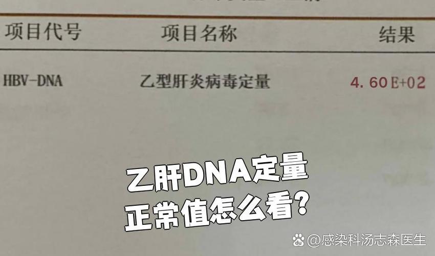 乙肝dna是什么意思啊
