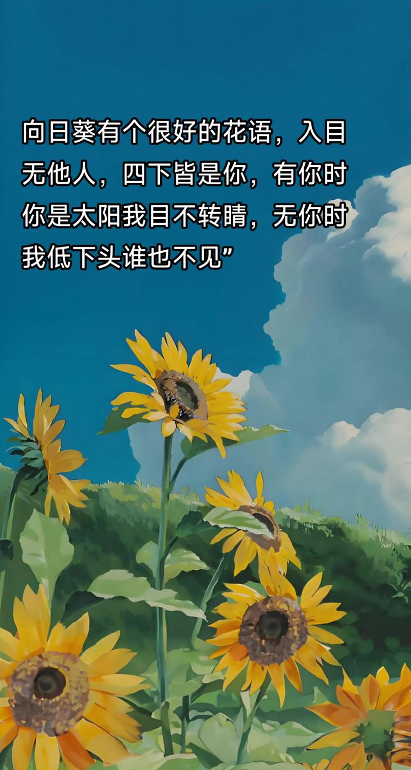 向日葵发朋友圈文案短