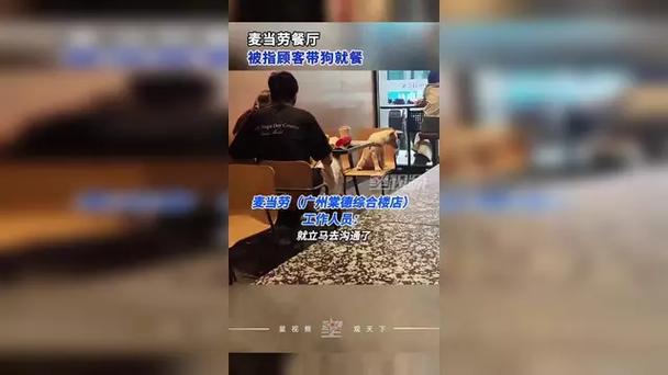 麦当劳回应有顾客带狗就餐