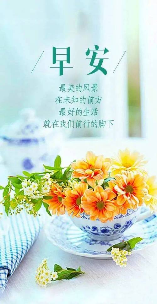 宝贝儿子早安说说短语缩略图