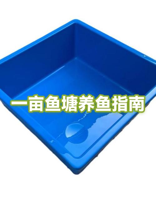 一什么鱼塘填空答案